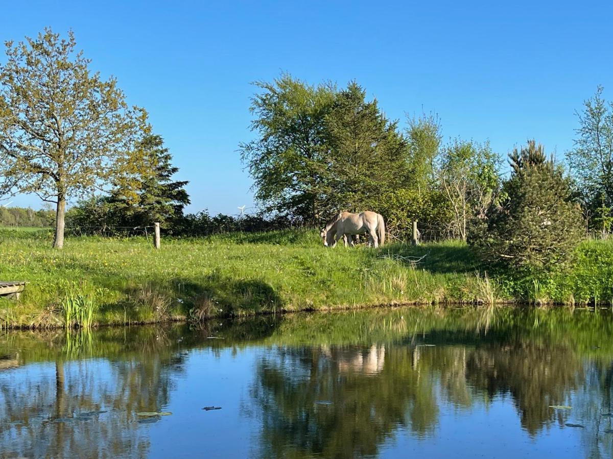 Vestjysk Naturcamping - Fjordviking Ringkobing Luaran gambar